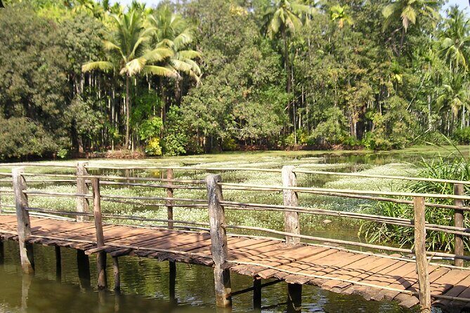 Highlights of South Goa with Spice Plantation Tour (Guided Fullday Tour by Car) - Quick highlights worth knowing