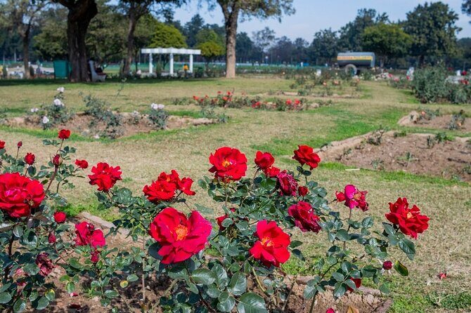 Highlights of the Chandigarh (Guided Half Day City Tour) - Getting Oriented in 4 Hours: Private Car Comfort in Chandigarh
