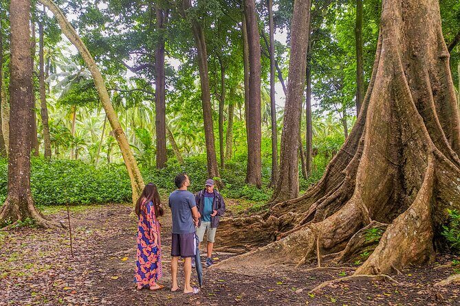Hike to Elephant beach exploring tropical flora and fauna - Key highlights worth your attention