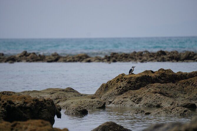 Hike to Elephant beach exploring tropical flora and fauna - Getting More Than Photos: Learning From Real Guides