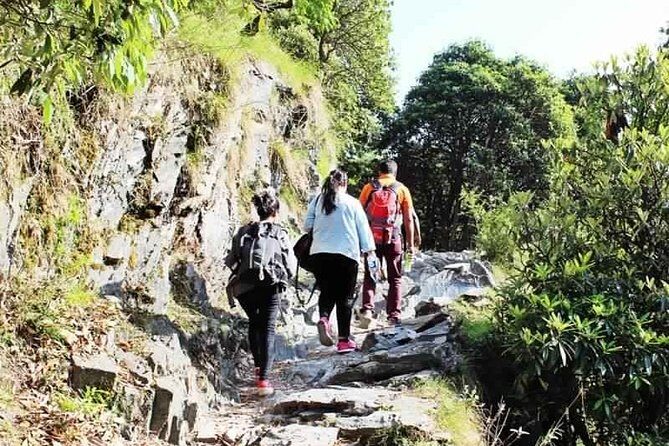 Hiking Day Tour to Triund from Dharamshala - Key Things I’d Mark Before You Go