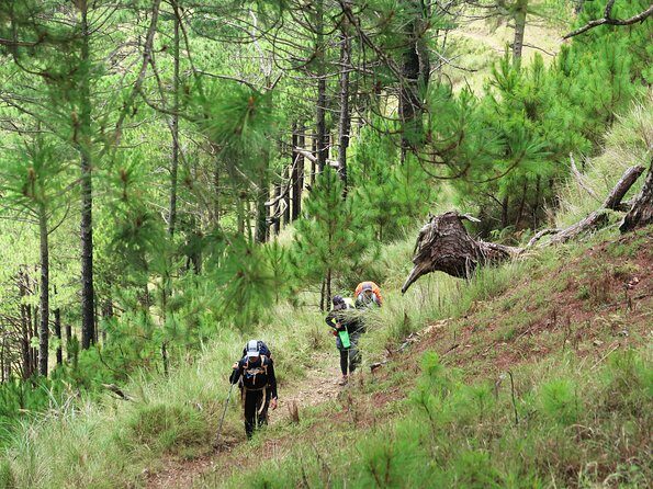 Hiking Day Tour to Triund from Dharamshala - Who This Tour Suits Best (and Who Might Want Another Option)