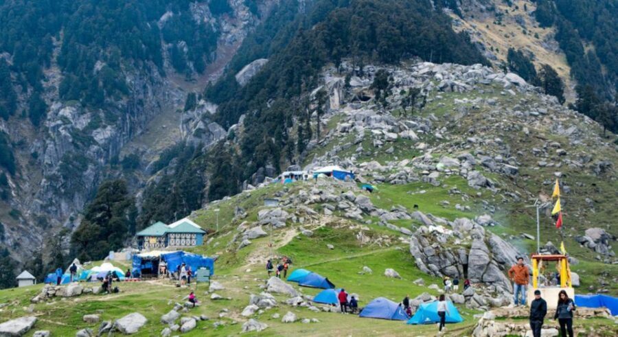 Hiking Day Tour to Triund from Dharamshala - Your guide makes it: pacing, safety, and local plant talk
