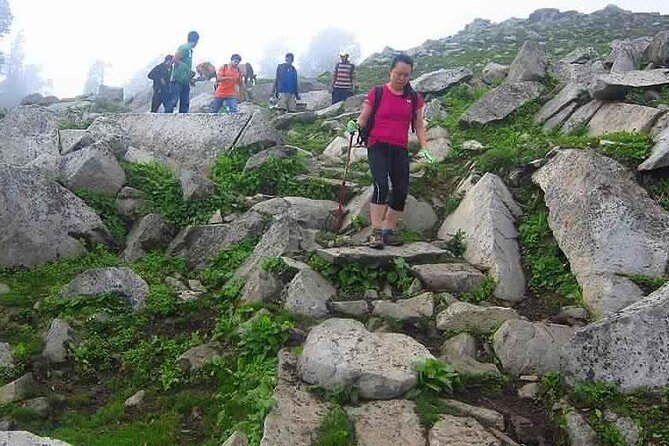 Hiking Day Tour to Triund from Dharamshala - Triund Alpine Meadow: Views, Weather, and the Lunch Break