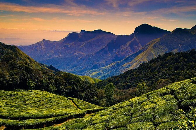 Hill station farm house stay - Price and value: $175 per person with what’s included, and what to budget extra