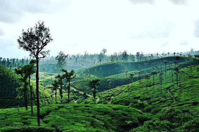 Hill Station Tour from Coimbatore to Valparai - 2 days - Key things to know before you go