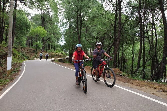 hilloferry - a guided cycling tour - What the route feels like: villages, greenery, tea gardens, and mountain views