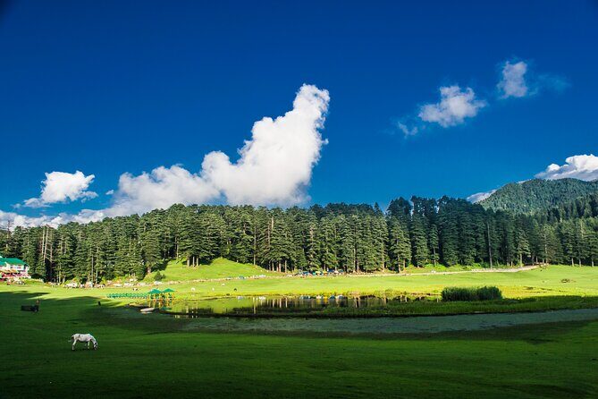 Himachal Tour Package - Quick hits before you pack