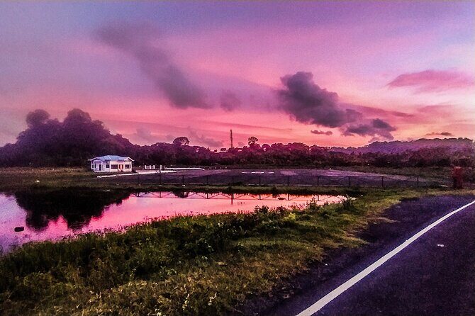 Hinterland Cycling Tour, Havelock - Meeting at SeaShell and what the 3:00 pm start means for your day
