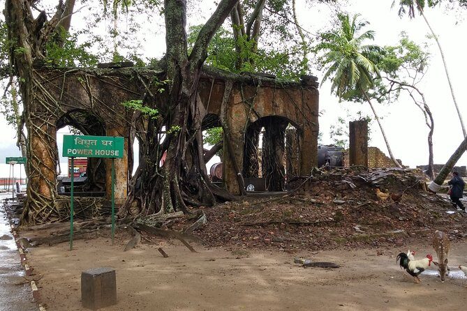 History Buffs Trails to Ross Island (3 Hours Guided Walking Tour) - Ross Island: From British Outpost to Ghost-Town Walk