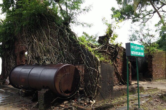 History Buffs Trails to Ross Island (3 Hours Guided Walking Tour) - Why a guide changes everything on Ross Island