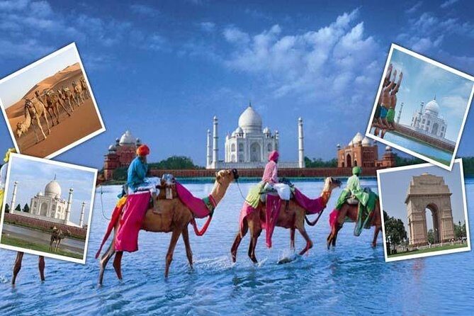 India's Best Seller-Taj Mahal and Agra Fort Tour From Delhi - Price and Logistics: Is $125 Good Value?