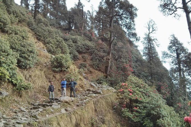 Indrahar Pass Trek with Manu Adventures India - Day 3: From Lahesh Cave to Indrahar Pass—rock steps, ridge logic, and Mon’s wall