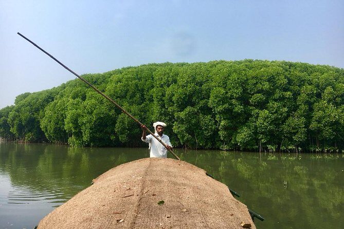 Into the Mangroves: Calicut Mangrove Trail by Tyndis - Key things to know before you go