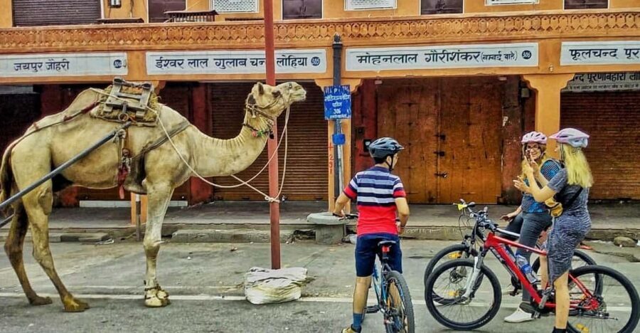 Jaipur: 3-Hour Morning Bike Tour of Jaipur Old City - Laughing Yoga and the City’s Go-With-Flow Side