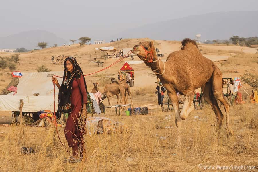 Jaipur: Ajmer & Pushkar Day Trip with Lunch & Camel ride - Brahma Temple in Pushkar: a rare dedication you’ll remember
