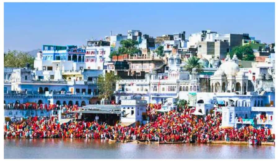 Jaipur: Ajmer & Pushkar Day Trip with Lunch & Camel ride - The driver experience: what makes the ride feel easy