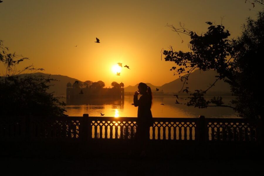 Jaipur Amer Fort, Jal Mahal & Stepwell Private Half-Day Tour - Getting More From Your Private Guide (Real-World Strengths)
