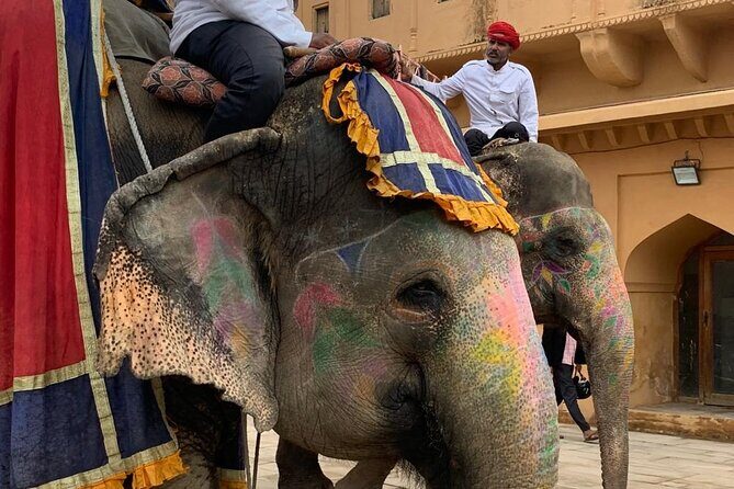 Jaipur Discovery with Guide and driver - Jal Mahal: the Water Palace break (and why the timing helps)