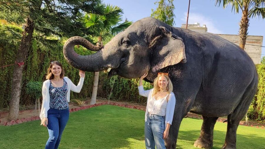 "Jaipur Elephant Experience: Bond, Connect, and Learn" - Price and logistics: is $57 worth it in the real world?