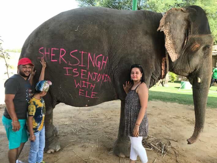 Jaipur: Elephant Interaction Tour - Key things you should know before you go