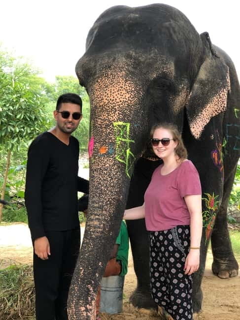 Jaipur: Elephant Interaction Tour - Price and Value: Is $58 for 4 Hours Fair?