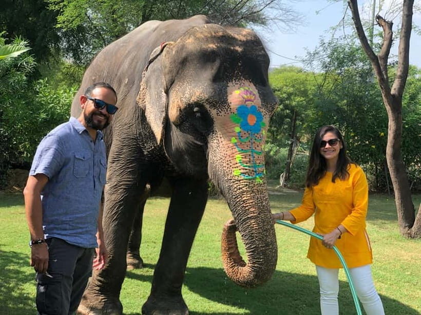Jaipur: Elephant Interaction Tour - Meeting and Introduction: Building Trust the Right Way