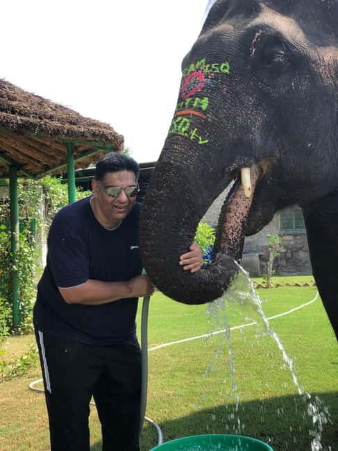 Jaipur: Elephant Interaction Tour - Walking With Elephants in the Village (No Rides)
