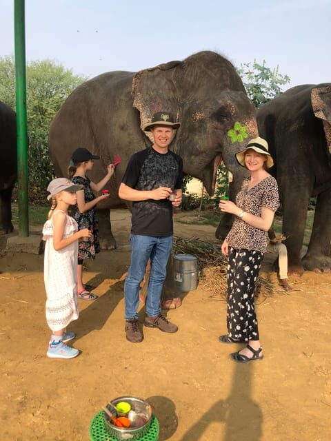 Jaipur: Elephant Interaction Tour - Painting on Elephants: Natural Colors You Can Actually Try
