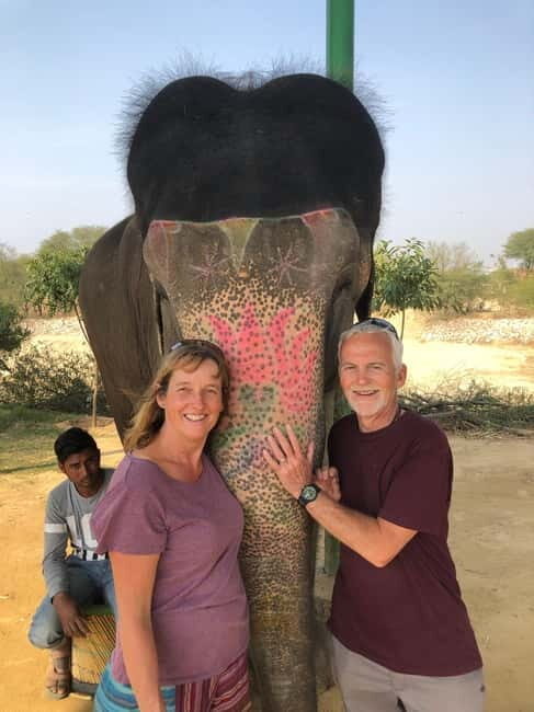 Jaipur: Elephant Interaction Tour - Getting There: Hotel Pickup and the Ride to Elephant Village