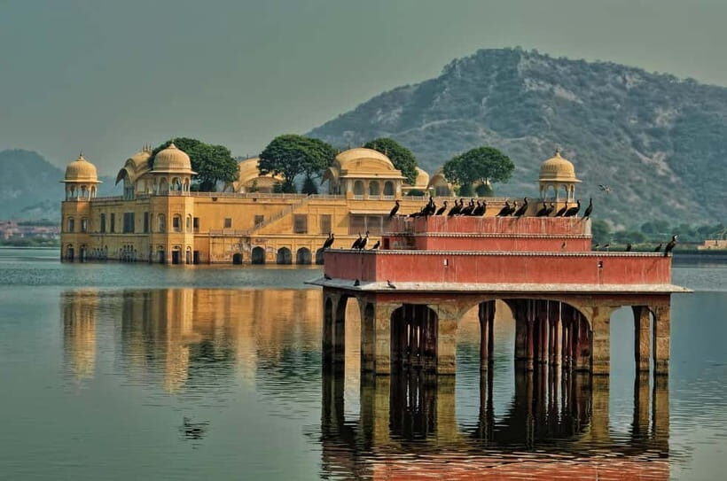 Jaipur: Explore Amber, Jaigarh & Nahargarh Fort with Sunset - Amber Fort: The Big One for Architecture Lovers