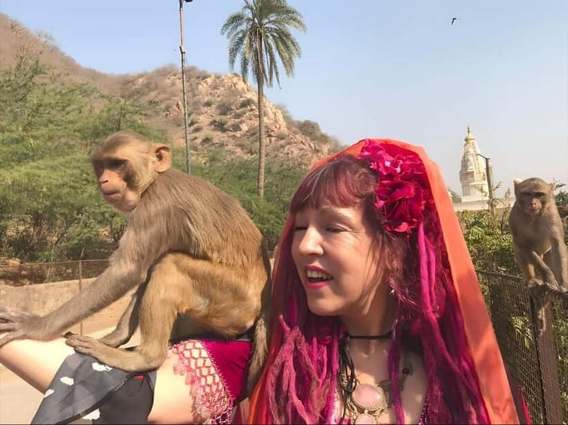 Jaipur: Explore City Sights, Amber Fort & Monkey Temple - FAQ