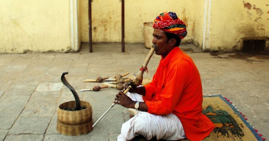 Jaipur: Full-Day Private City Tour by Car with Guide - How the private car route works in Jaipur (pickup, drop-off, comfort)