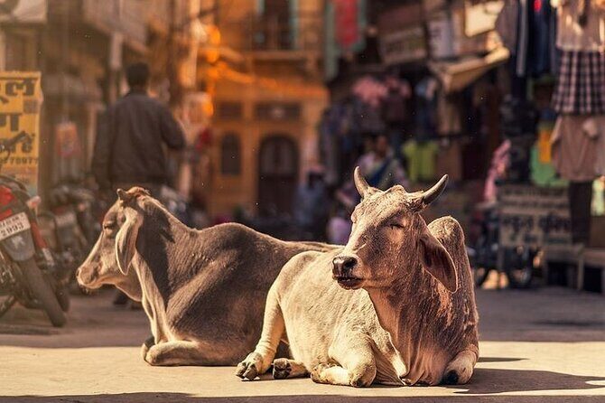 Jaipur Full Day Tour By Car And Guide With Hotel Pickup - Pink City time plus Jaipur block printing