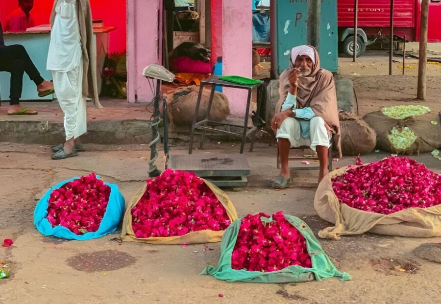 Jaipur: Half-Day Guided Sightseeing Tour with Flower Market - City Palace and Jantar Mantar: seeing royal power and old science