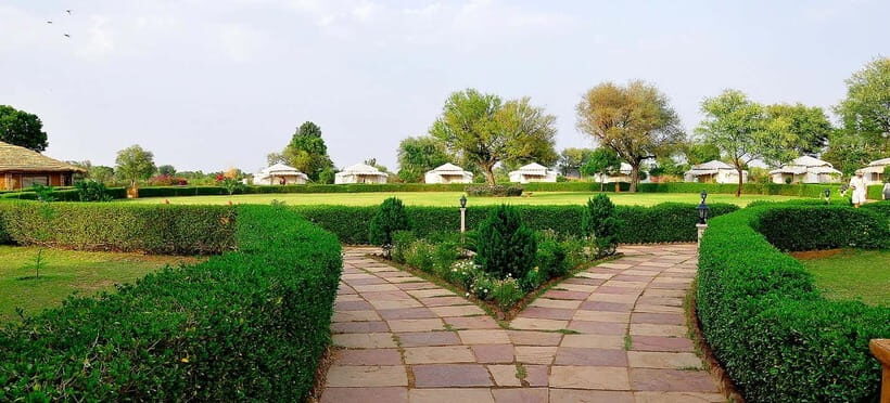 Jaipur: Haunted Bhangarh Fort and Abhaneri Stepwell Day Trip - Abhaneri stop time: enough to enjoy, not enough to linger forever
