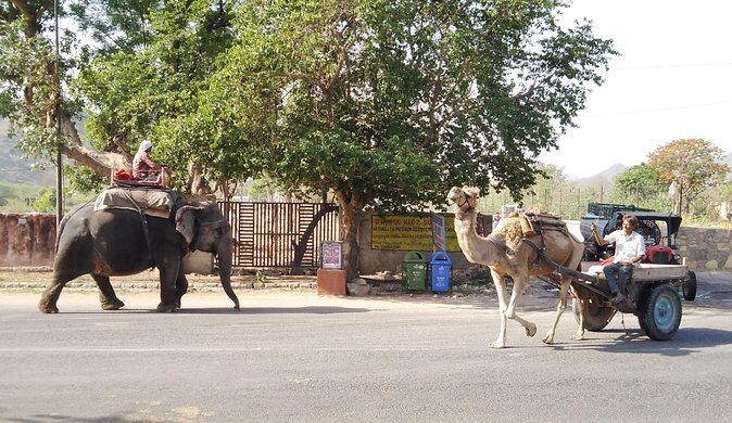 Jaipur Heritage Walking Tour - Local life, Havelis and Temples - Govind Devji Temple Aarti: a brief ceremony you should respect