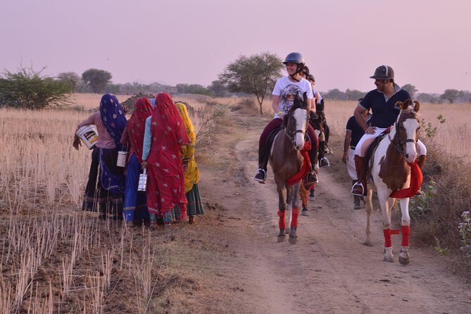 Jaipur Horse Riding Adventure - Riding for 1.5 to 2 hours: what the pace actually feels like