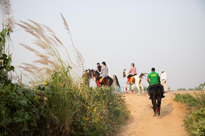 Jaipur Horse Riding Adventure - The 6:30am start, meeting point, and how the day flows