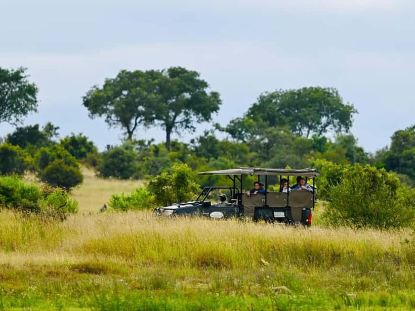 Jaipur: Jhalana Amagarh Leopard Reserve 4×4 Jeep Safari - Why Jhalana/Amagarh Works as a Jaipur Wildlife Day