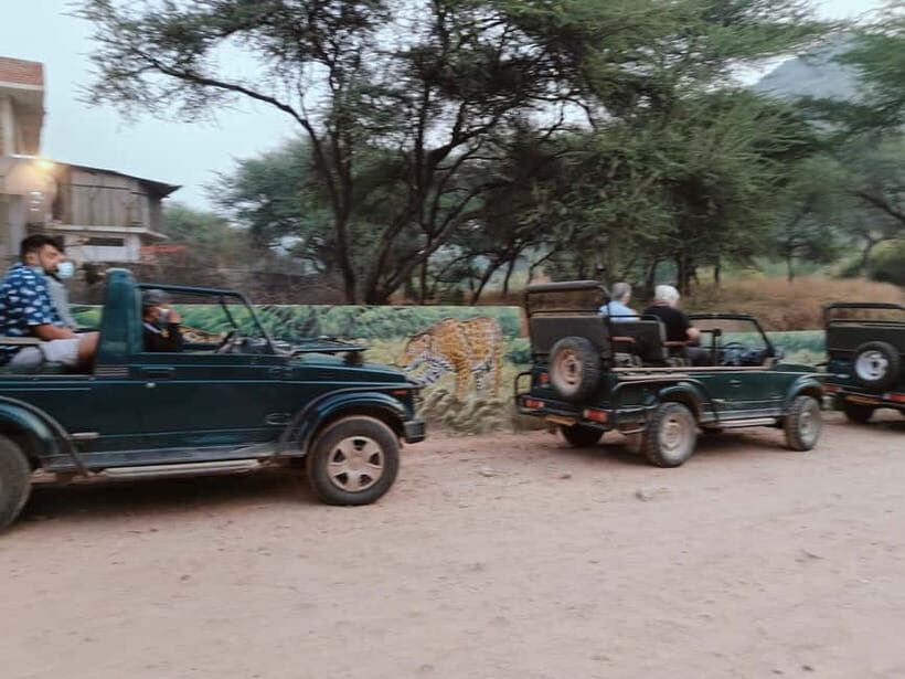 Jaipur: Jhalana Amagarh Leopard Reserve 4×4 Jeep Safari - Inside the Reserve: What You’re Actually Looking For