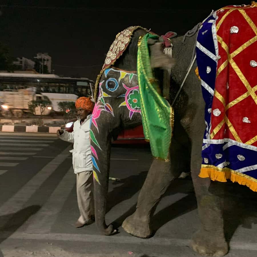 Jaipur: Night Tuk-Tuk Tour With Friendly Local Driver - What to ask your driver before you roll