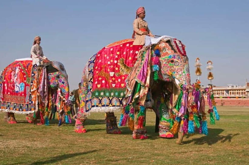 Jaipur: Private Full-Day City Tour with Car and Guide - Private pickup and car: the easiest way to see Jaipur