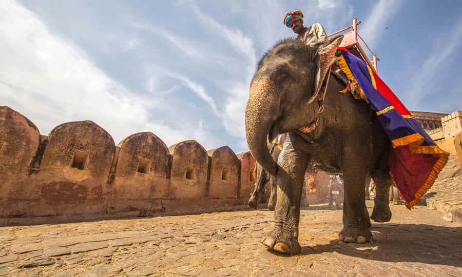 Jaipur: Private Full Day City Tour With Street Food - Street food breaks at Rawat, Gulab Ji, Bhagat and Pandit Kulfi