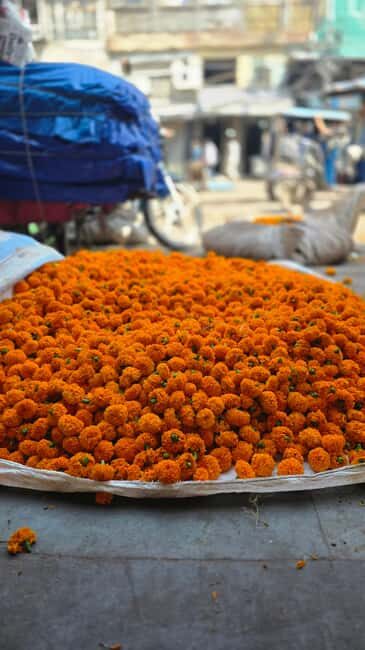Jaipur: Private Guided Half Day Tour in Jaipur - Jagat Shiromani Temple: A Calm Moment Off the Main Flow