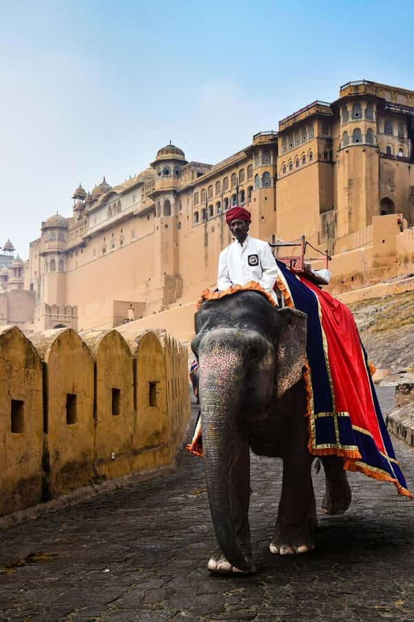 Jaipur: Private PinkCity & Stepwell Heritage Tour with Guide - The guide matters: what makes this tour feel worth it
