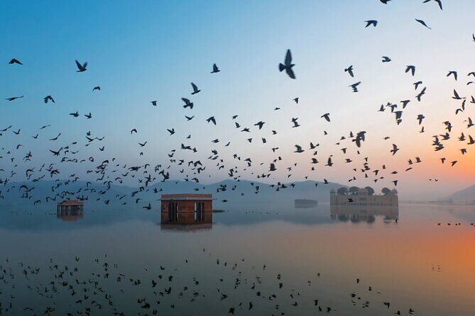 Jaipur Sunrise Tour with Morning Flower Market Walk - Jal Mahal at sunrise: the Water Palace when it looks almost unreal