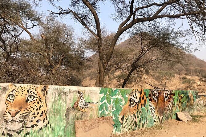 Jaipur to Jhalana Leopard reserve Private Day Trip All Inclusive - Pickup in Jaipur: easy start, fewer hassles