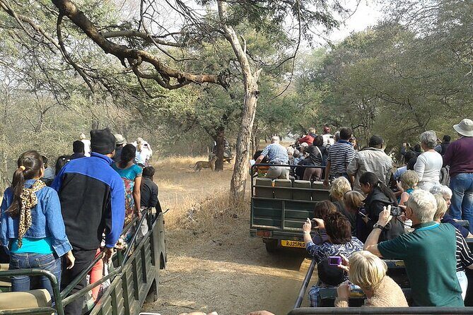 Jaipur to Ranthambore National Park Private One Day Trip - Arriving at Ranthambore: identification steps and how the gypsy part works