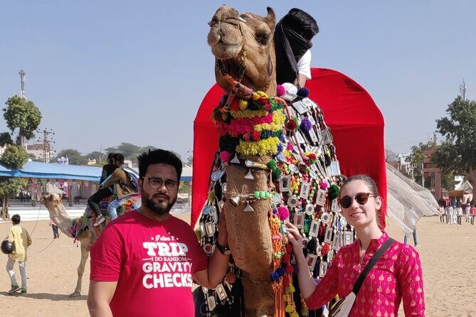 Jaipur Tour By Car & Guide - Private Full Day Sightseeing with Tickets - Guide and driver support that actually helps